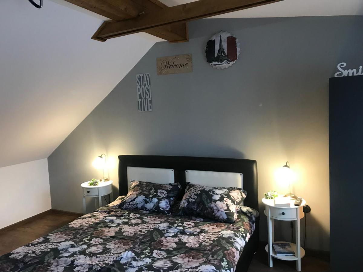 Apartament Garsoniera Delia Braszów Zewnętrze zdjęcie